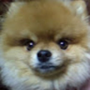 Meet your Posher, Ivana